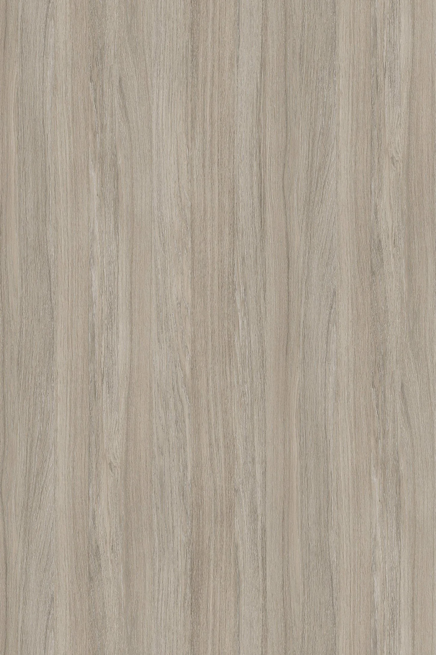 Melamine Faced Particle Board - K005 Oyster Urban Oak | WOODca